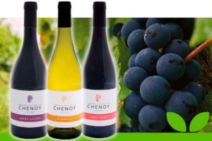 Vin domaine du Chenoy