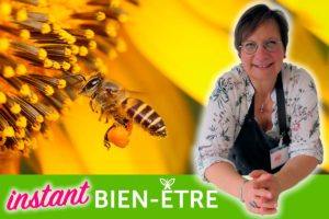 Zoom sur le pollen