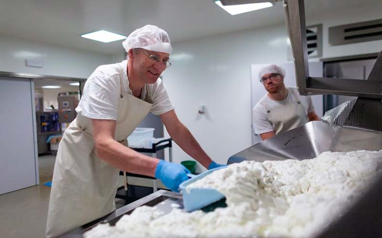 Production de mozzarella Buffl'Ardenne