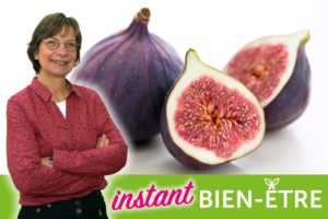 Le figuier, un trésor naturel insoupçonné