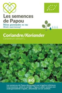 les semences de papou - Coriandre