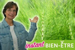 La prêle des champs, une alliée bien-être de choix.