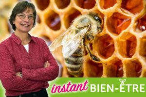 La Propolis, un antibiotique naturel