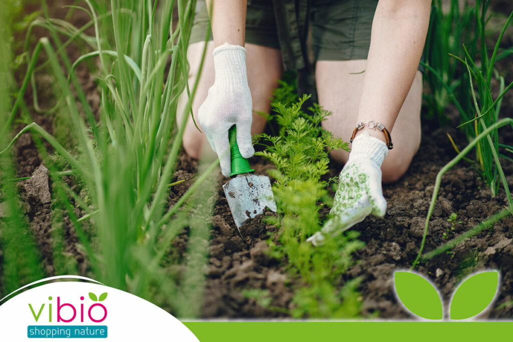 Atelier Conseils jardin/potager vivant!