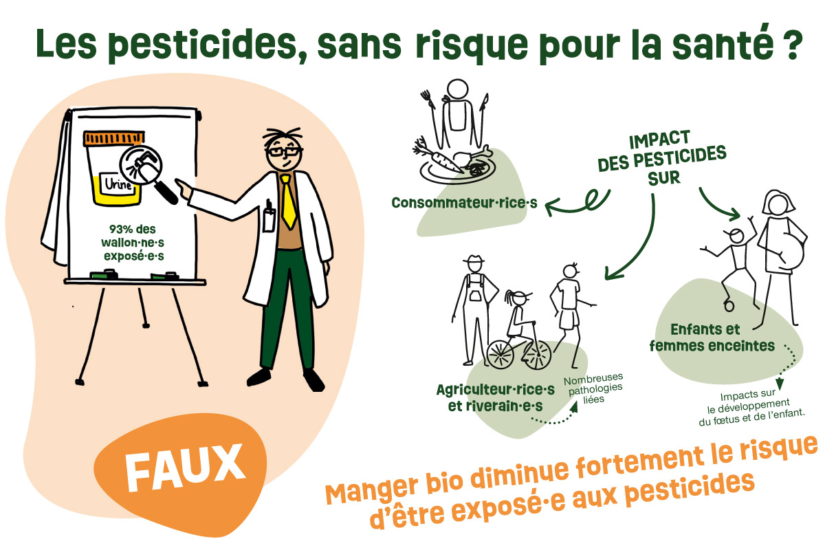 Lire la suite à propos de l’article Les pesticides, sans risque pour la santé ?