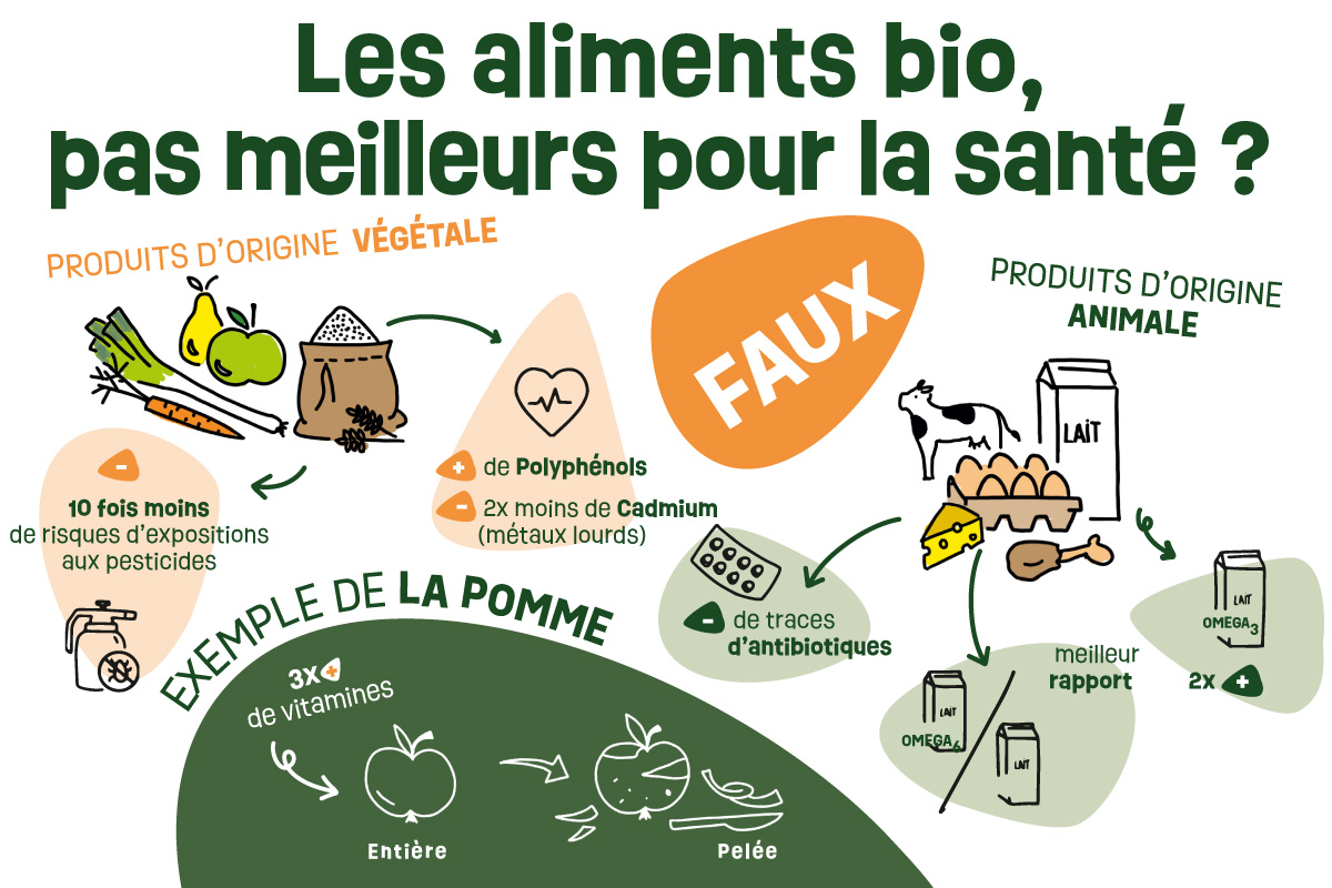 Lire la suite à propos de l’article Les aliments bio, pas meilleurs pour la santé ?