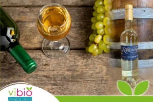 Le conseil vin du mois de mai