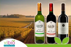 Trois vins, trois tempéraments : fraîcheur, caractère et générosité